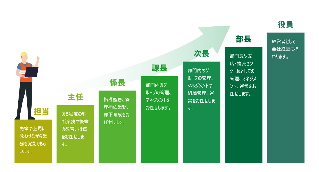 担当:先輩や上司に教わりながら業務を習得してもらいます。
主任:ある程度の判断業務や後輩の教育、指導をお任せします。
係長:指導監督、管理補佐業務、部下育成をお任せします。
課長:部門内のグループの管理、マネジメントをお任せします。
次長:部門内のグループの管理、マネジメントや組織管理、運営をお任せします。
部長:部門長や支店・物流センター長としての管理、マネジメント、運営をお任せします。
役員:経営者として会社経営に携わります。